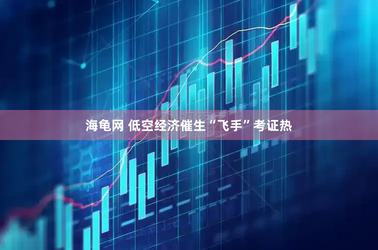 海龟网 低空经济催生“飞手”考证热