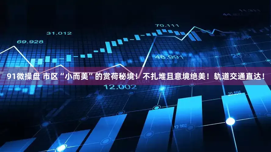 91微操盘 市区“小而美”的赏荷秘境！不扎堆且意境绝美！轨道交通直达！