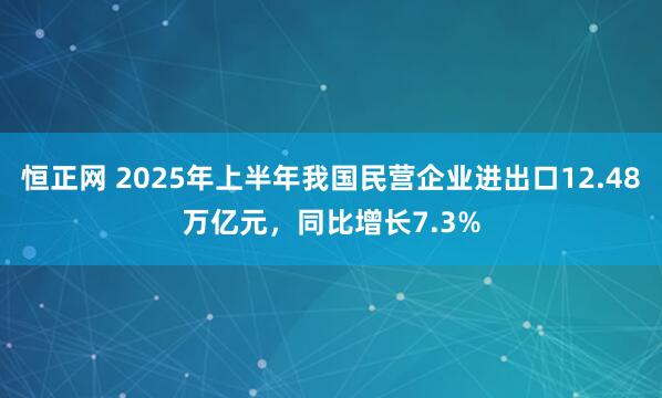 恒正网 2025年上半年我国民营企业进出口12.48万亿元，同比增长7.3%