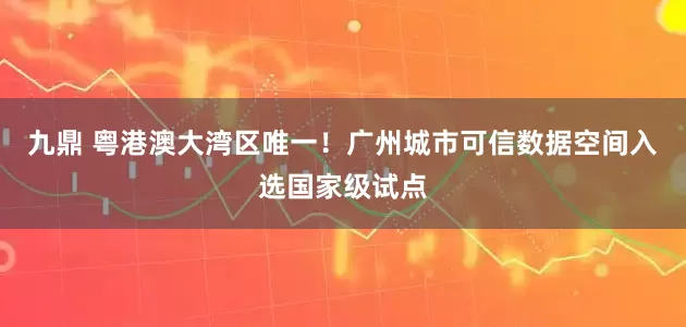 九鼎 粤港澳大湾区唯一！广州城市可信数据空间入选国家级试点