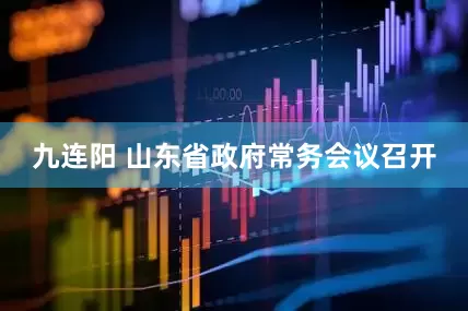 九连阳 山东省政府常务会议召开