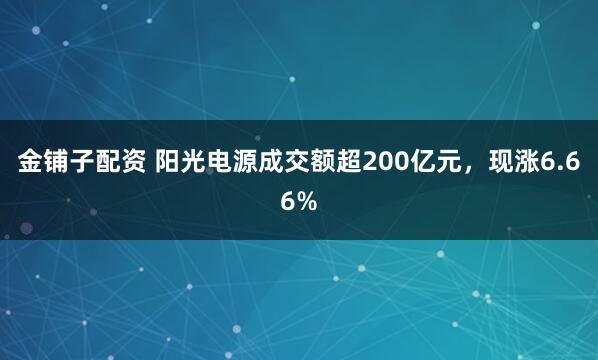 金铺子配资 阳光电源成交额超200亿元，现涨6.66%