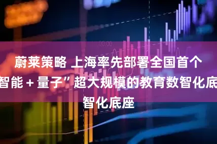 蔚莱策略 上海率先部署全国首个“智能＋量子”超大规模的教育数智化底座